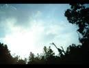 メタモルフォーゼ/裏命