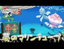 失ったポケモンは二度と戻らない。【BW2】#44