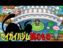 失ったポケモンは二度と戻らない。【BW2】#45