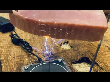 リベンジ！10万ボルトでベーコン焼いてみた