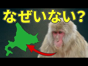 ニホンザルが北海道にいない理由【解説動画】