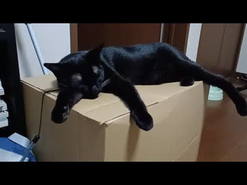 ちょっとだけうごくこま