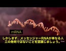 mRNAワクチンの有毒性を示す動画