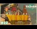 【ティアキン】イチカラ村エピソード「エノキダの娘ウィッダの旅立ち」#22【ゼルダの伝説 ティアーズオブザキングダム】