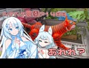 2025年9月19日　農作業日誌P1488　雨が降らないので花壇の続きをしながら、石を拾いました