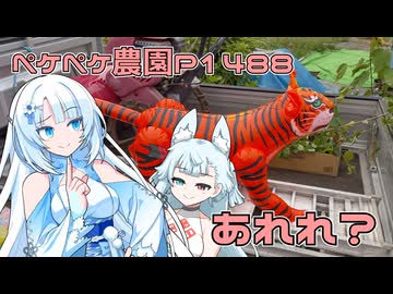 2025年9月19日　農作業日誌P1488　雨が降らないので花壇の続きをしながら、石を拾いました
