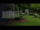 Lawn Enhancement for Real Estate: Boost Curb Appeal