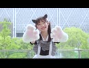 【毛巾】ポジティブ☆ダンスタイム
