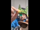 JR山陽本線〔新白島駅・横川駅（広島）・西広島駅〕の鉄道事故・人身事故・電車と人がぶつかる接触事故・列車と車と人の衝突事故・列車死亡事故・踏切や駅のホームで電車にはねられ死亡事故ゼロを願う祈祷