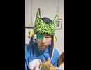 JR山陽本線〔柳井港駅・柳井駅・田布施駅〕の鉄道事故・人身事故・電車と人がぶつかる接触事故・列車と車と人の衝突事故・列車死亡事故・踏切や駅のホームで電車にはねられ死亡事故ゼロを願う祈祷