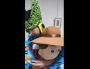 JR鹿児島本線〔笹原駅・南福岡駅・春日駅（福岡県）〕の鉄道事故・人身事故・電車と人がぶつかる接触事故・列車と車と人の衝突事故・列車死亡事故・踏切や駅のホームで電車にはねられ死亡事故ゼロを願う祈祷