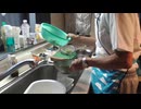 もやしのお味噌汁と野菜炒め、作って食べてます。