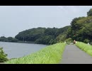 【大膳】下総国国府台城 令和7年(2025) 初秋