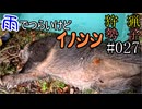 狩猟勢子動画＃027　雨でつらいけどイノシシ