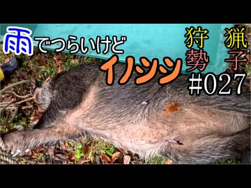 狩猟勢子動画＃027　雨でつらいけどイノシシ