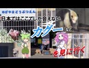 野毛山動物園 日本ではここでしか会えない鳥 カグーを見に行く