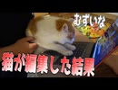 猫が編集した合作
