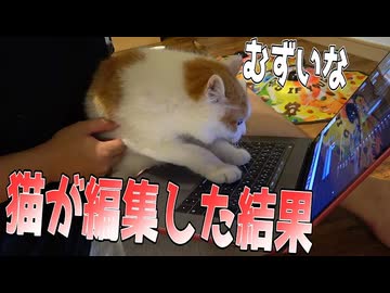 猫が編集した合作