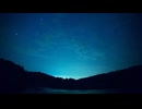 Night Sky over Forest
