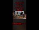ウルトラアルトファイトZERO第1話戦闘シーン
