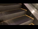 【エスカレーター2022】秋葉原UDX アキバichi2階から5階へのエスカレーター2022_10_28