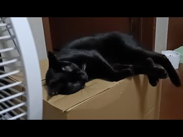 じゅくすいこま