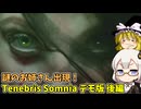 2Dと実写が混じり合うレトロ系サバイバルホラー あかりとまりちゃんホラゲロケハン その2【Tenebris Somnia】