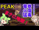 【PEAK】アセント６ソロでも強く生きるずんだもん  #002 ｜竜巻！火傷！猛毒！地獄のバイオーム！