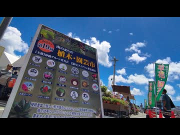第19回南のまちの植木・園芸市(2025年9月20日撮影)2025年9月21日17時まで！