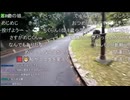 横山緑「早速めじろうがDMを（8歳のみるねこに）送りましたって…ヤバイだろ…」