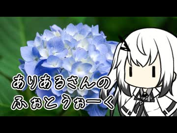 【フォトウォーク祭2025】梅雨の合間に紫陽花をお写真するアリアルさん【Coefont車載】