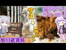 【結月ゆかりのサケびたり】サ道→孤独のグルメのロケ地巡り！8月の旭川避暑旅【VOICEROID旅行】