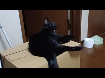 毛づくろいこま
