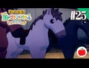 【実況】牧場物語 Let's！風のグランドバザールを初見で遊ぶいも【#25】
