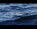待ってて、彼岸で / 初音ミク cover