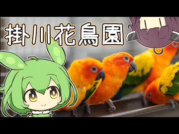 【フォトウォーク祭2025】癒しの花と鳥～掛川花鳥園