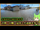 【緊急撮影・道路冠水】北海道初の線状降水帯　音別・白糠で道路冠水【釧路のずんだもん】