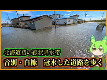 【緊急撮影・道路冠水】北海道初の線状降水帯　音別・白糠で道路冠水【釧路のずんだもん】