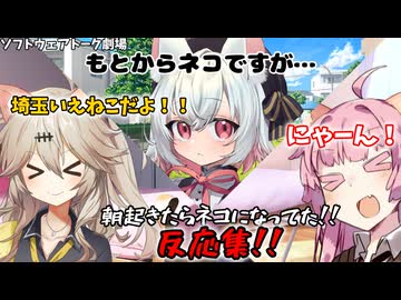 冥々ひまり　グッズ　voiceroid 冥々ひまり グッズ voiceroid VoiceRoid系 冥鳴ひまりV0.3