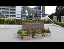 ４回中山競馬３日目観戦日記（中編）