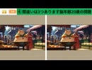 【！脳トレ+育脳に最適☆まちがい探しタイム！ 】＃300