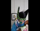 JR鹿児島本線〔古賀駅・ししぶ駅・新宮中央駅〕の鉄道事故・人身事故・電車と人がぶつかる接触事故・列車と車と人の衝突事故・列車死亡事故・踏切や駅のホームで電車にはねられ死亡事故0祈願