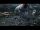 sc^イカれた生放送(SEKIRO)　２８－８