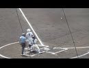 【済美】葛原 大翔くんバントを決める＜第107回全国高校野球選手権大会〜夏の甲子園 2025年8月8日 済美 対 東洋大姫路＞