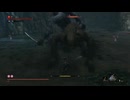 sc^イカれた生放送(SEKIRO)　２８－９