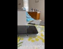 鳥にからかわれるおばちゃん