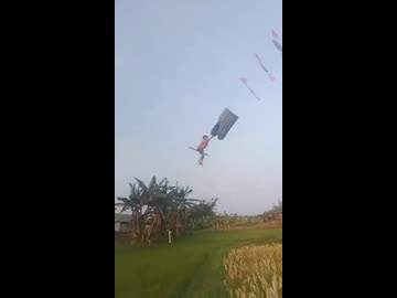 ホモと見る凧で空を飛ぶ陽キャ