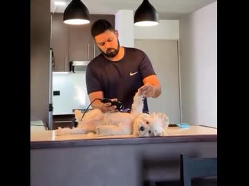 ホモと見る運命を受け入れた犬