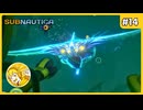 病気を治す手がかりを見つけたらしいです #14【Subnautica】