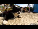 のんびりな一日
